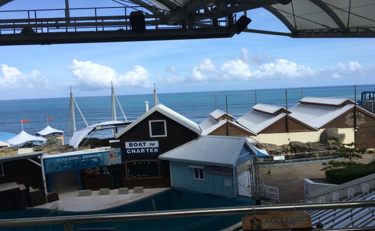 遠(yuǎn)雄互動海底世界